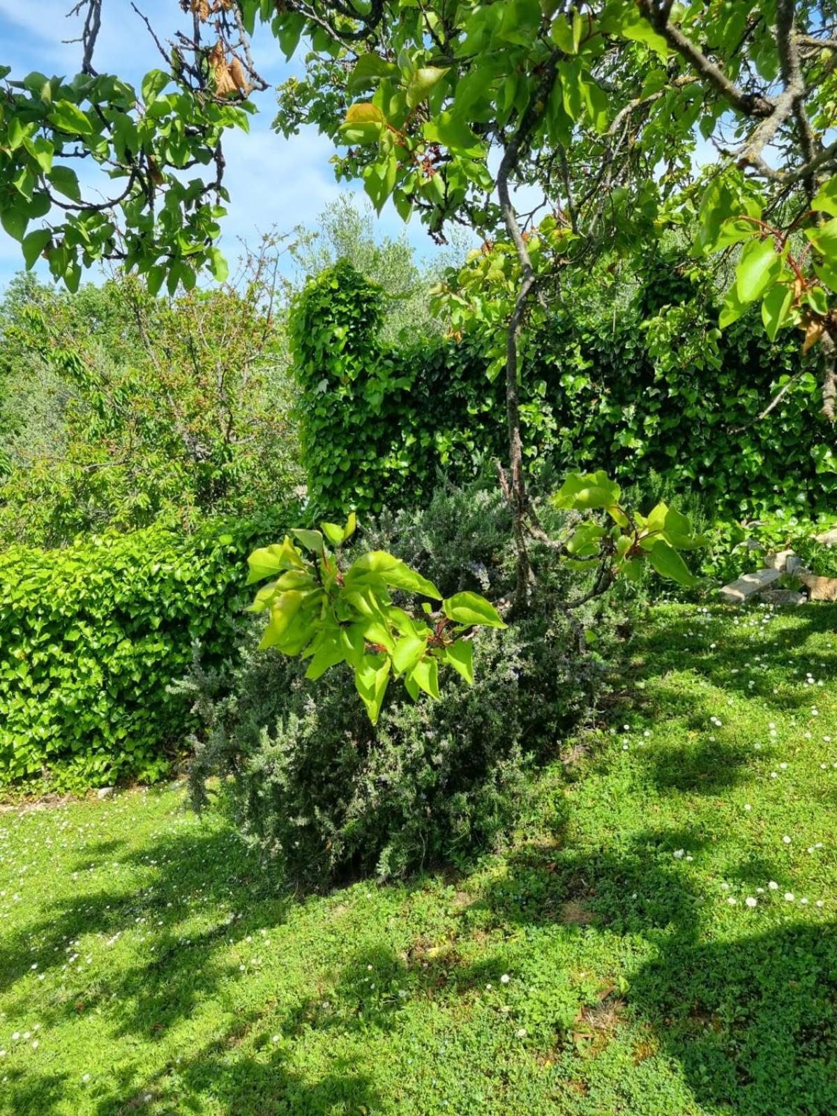 Гостевой дом Dimora Nel Chianti San Sano Экстерьер фото