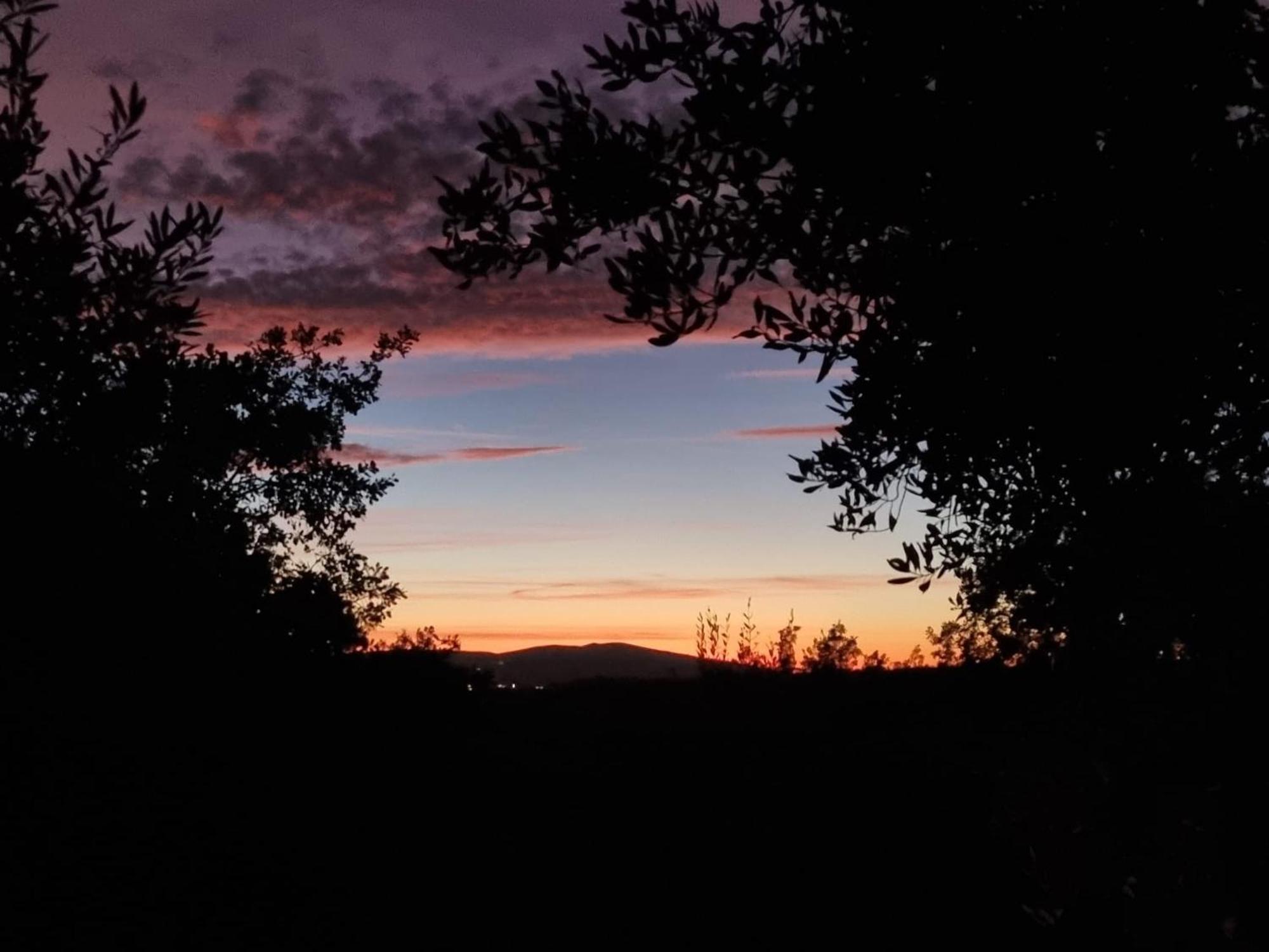 Гостевой дом Dimora Nel Chianti San Sano Экстерьер фото